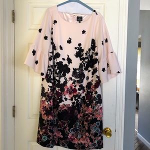 Blush Pink Bell Sleeve Dress